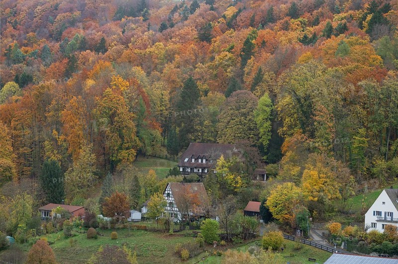 Herbstlicher Mischwald, Egloffstein, Upper Franconia, Bavaria, Germany