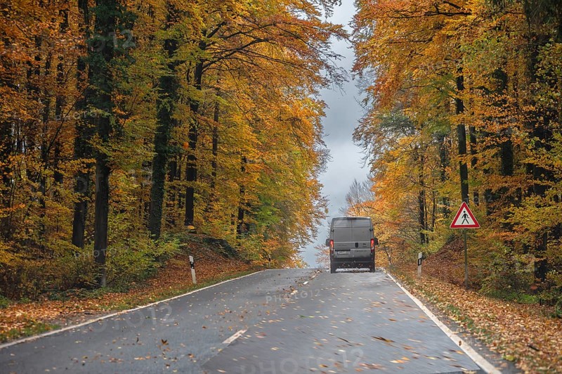Federal road surrounded by mixed autumn forest, Gräfenberg, Upper Franconia, Bavaria, Germany