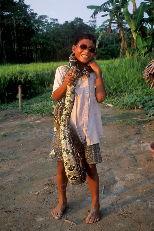 A boy whose father runs a small private zoo near Iquitos on the Amazon shows a boa, Peru, South America, September 1997, vintage, retro, old, historic