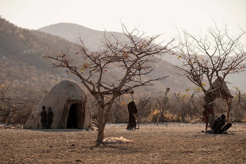 Himba huts, traditional Himba village in the savanna, arid countryside, Kaokoveld, Kunene, Namibia