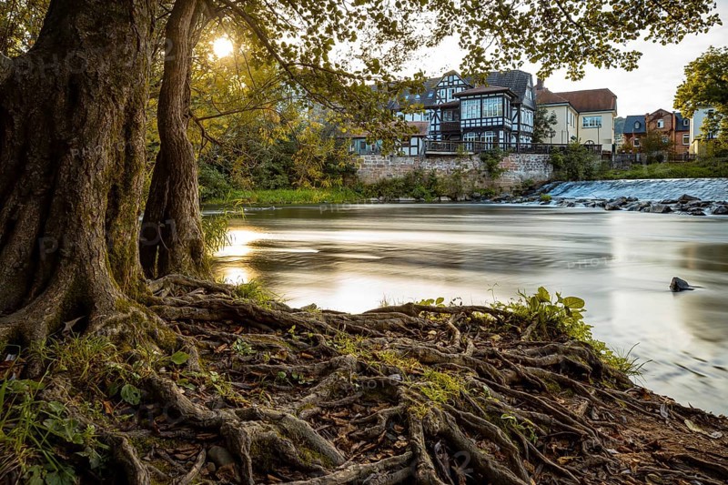 A quiet river with trees and roots in the foreground, while old buildings stand in the background at sunset, The old mill at Wehr der Lahn in Marburg