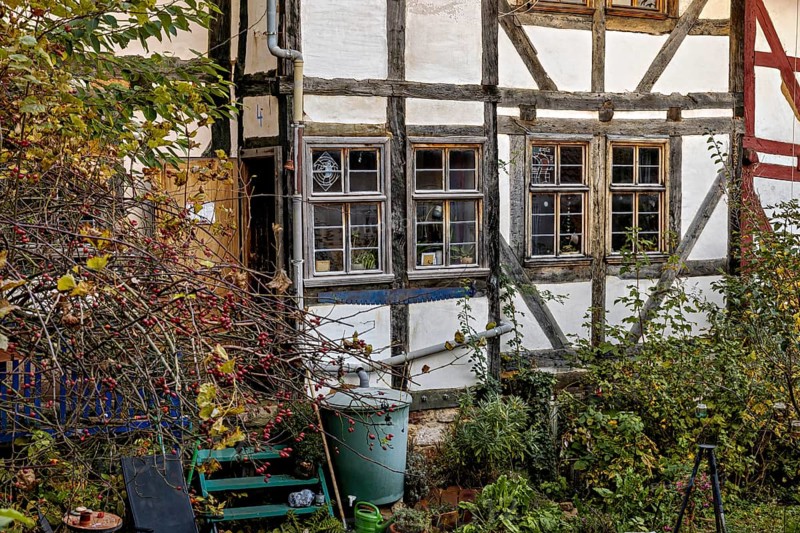 Abandoned garden in front of an old half-timbered house with autumn plants, The historic city center of Marburg in Hesse