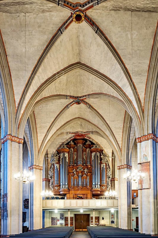 Impressive church interior with Gothic arches and imposing organ, atmospherically illuminated, interior view of the Lutheran church of Marburg an der Lahn in Hesse