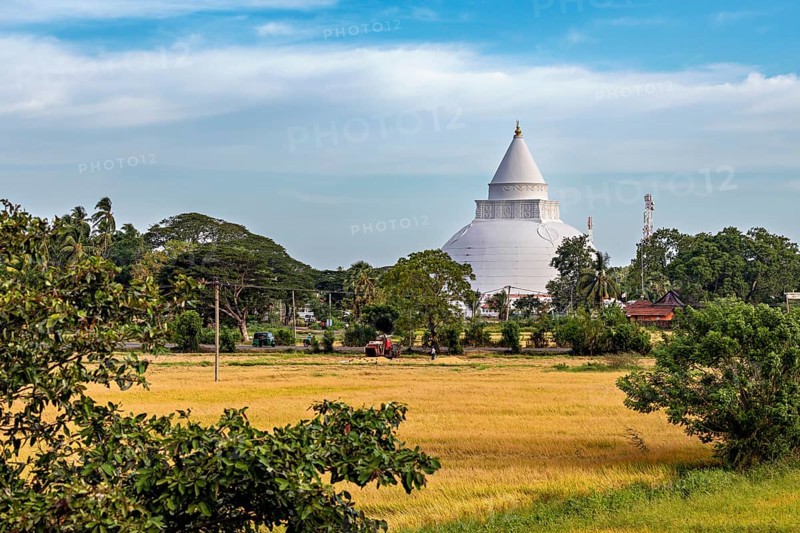 White stupa surrounded by trees and meadows under a blue sky with clouds, a dagoba in the rice paddies near Yala National Park Sri Lanka
