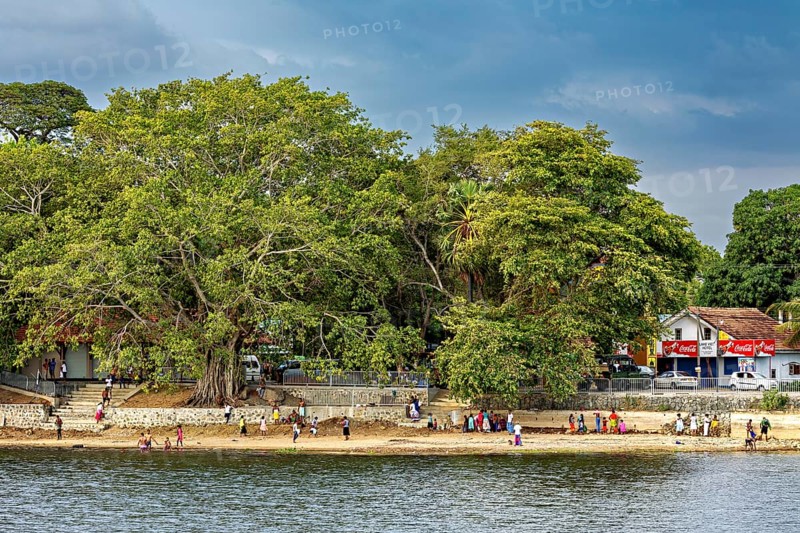 Big trees on the riverbank with houses behind them, people walking on a cloudy day, people at a lake in Sri Lanka