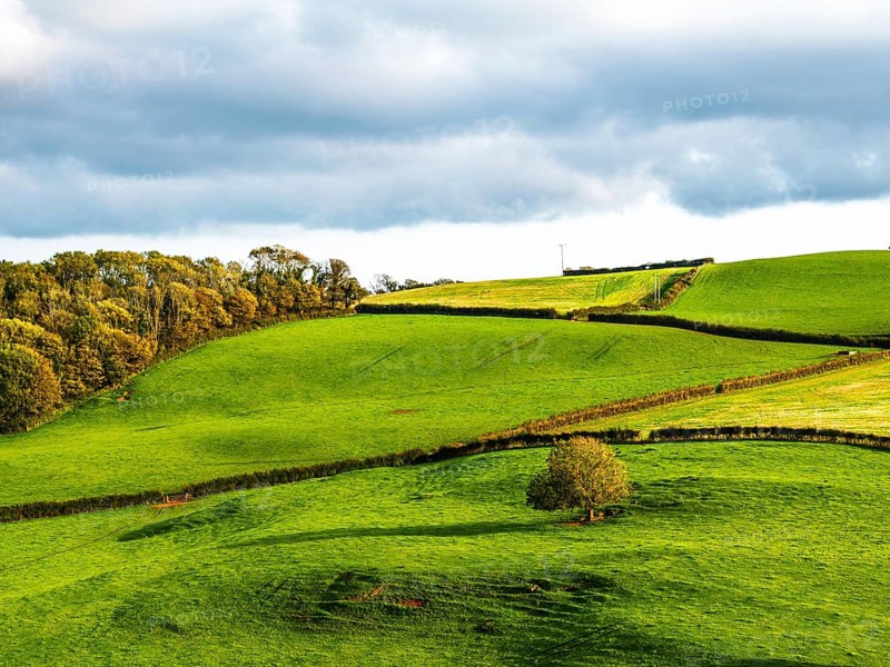 Colours of Devon Farms and Fields over Paignton and Berry Pomeroy from a drone, Totnes, England, United Kingdom