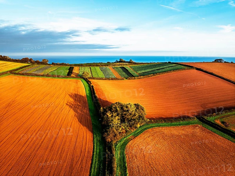 Colours of autumn Fields and Farms over Sheldon from a drone, Torbay, Devon, England, United Kingdom