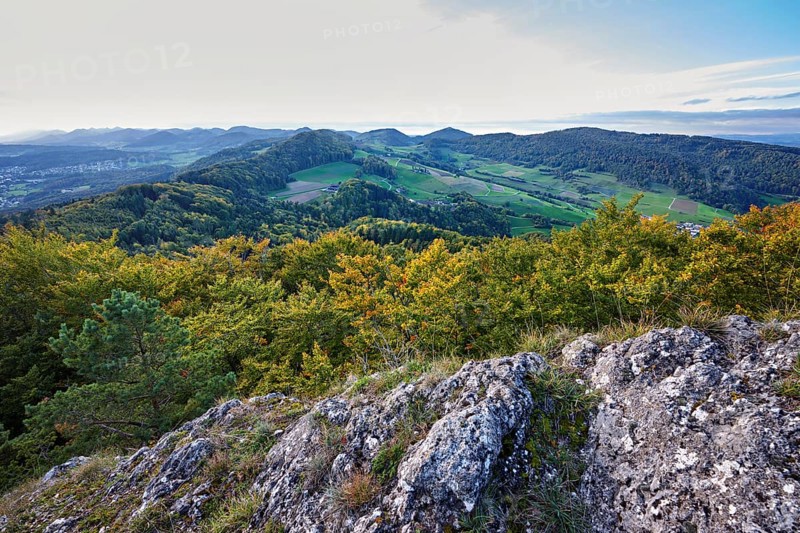 View from the Gisliflue of an autumnal forest with the Jura foothills behind, Talheim, Canton, Aargau, Switzerland