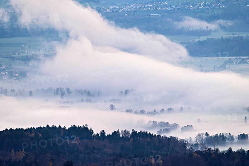 Meadows and trees in early fog, Reusstal, Merenschwand, Canton of Aargau, Switzerland