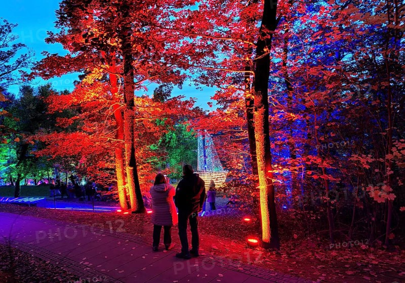 Illumination during the Herbstlichtgarten event in Sauerlandpark in the evening in Hemer, Sauerland, North Rhine-Westphalia, Germany