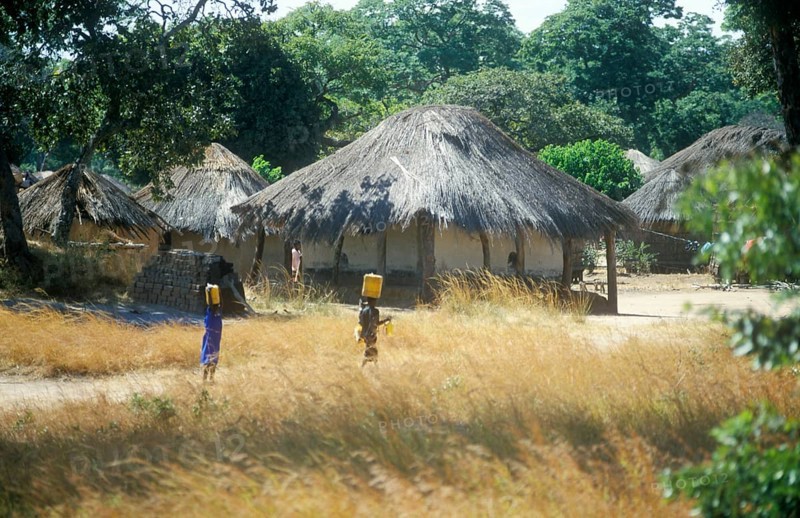 Thatched huts in a village in Zambia, Africa, June 2000, vintage, retro, old, historic