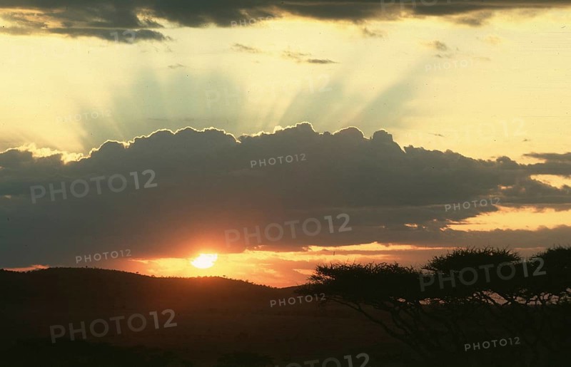 Sunset over Serengeti, Tanzania, Africa, June 2000, vintage, retro, old, historic