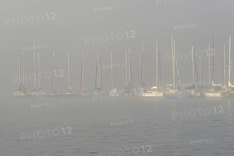 Hennesee, sailboats at boat dock in thick fog, Hennetalsperre, Sauerland-Rothaargebirge nature park Park, North Rhine-Westphalia, Germany
