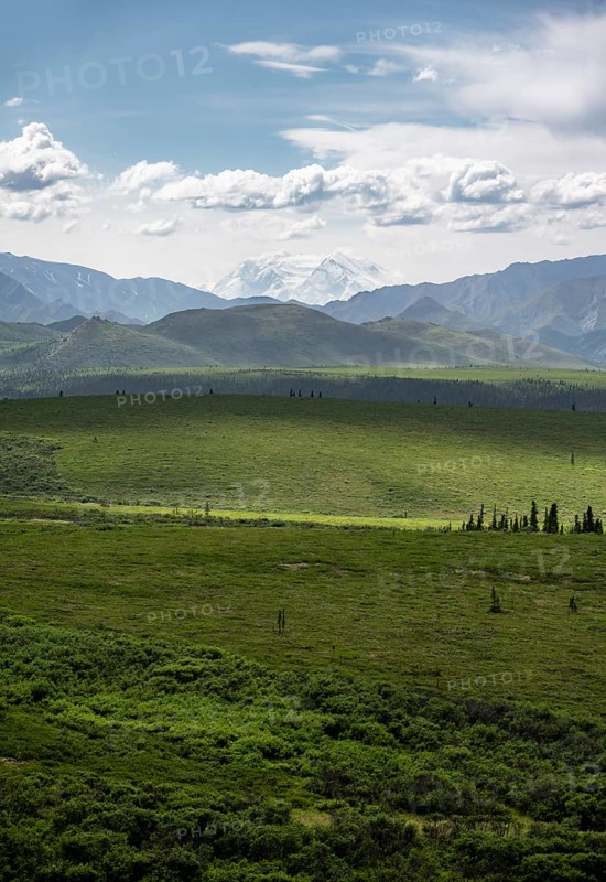 Tundra and glaciated peak of Denali or Mount McKinley, mountainous landscape, Denali National Park, Alaska, USA