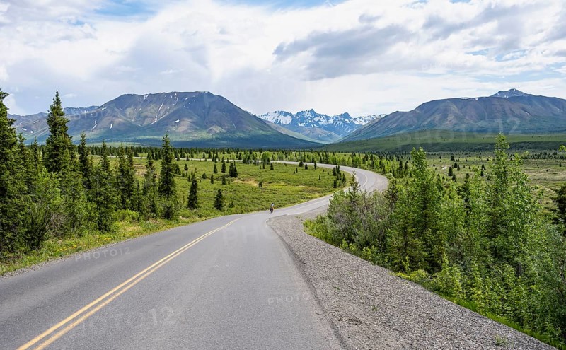 Road through Denali National Park, Taiga and Tundra with mountain scenery, Denali National Park, Alaska, USA