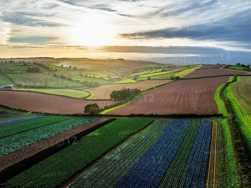 Colours of autumn Fields and Farms over Sheldon from a drone, Torbay, Devon, England, United Kingdom