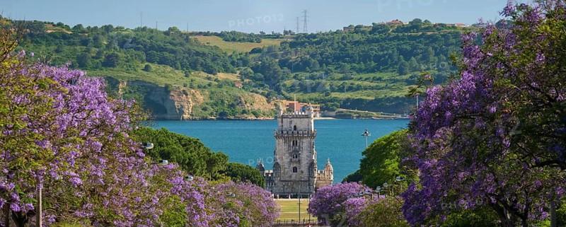 Scenic view of Belem Tower in Lisbon, Portugal, seen over a street with blooming purple jacaranda flower trees street with tourist sailboats on the Tagus River on sunset. Portugal