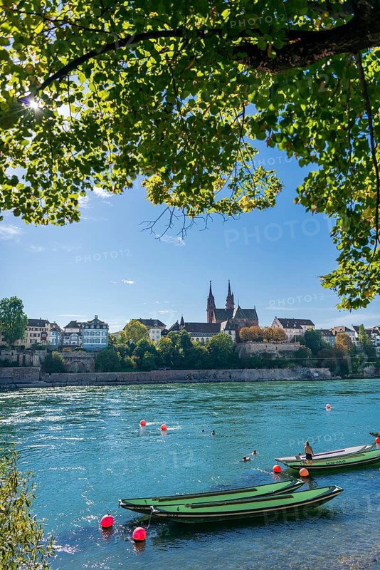 The Rhine with rowing boats in the sunshine in the late afternoon, Basel