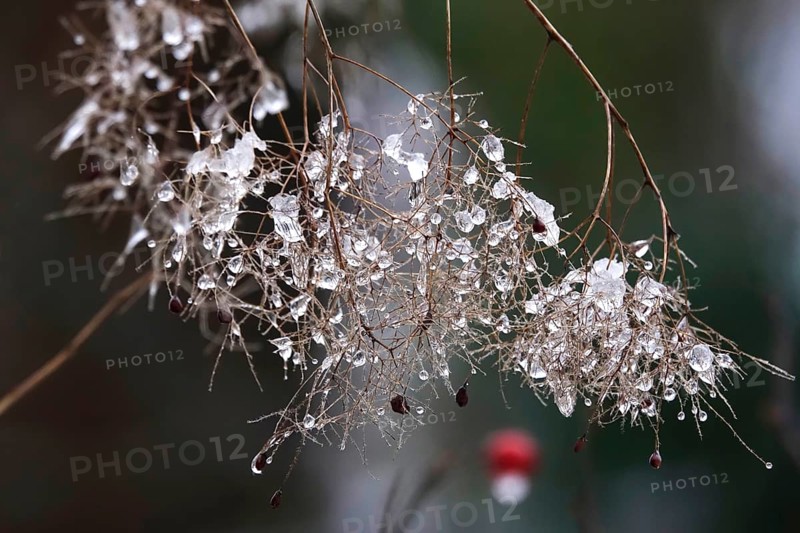 Wintertime, thaw, Germany
