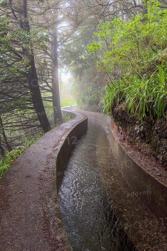 PR17 Pinaculo e Folhadal hiking trail, Levada, Irrigation Canal, Madeira, Portugal
