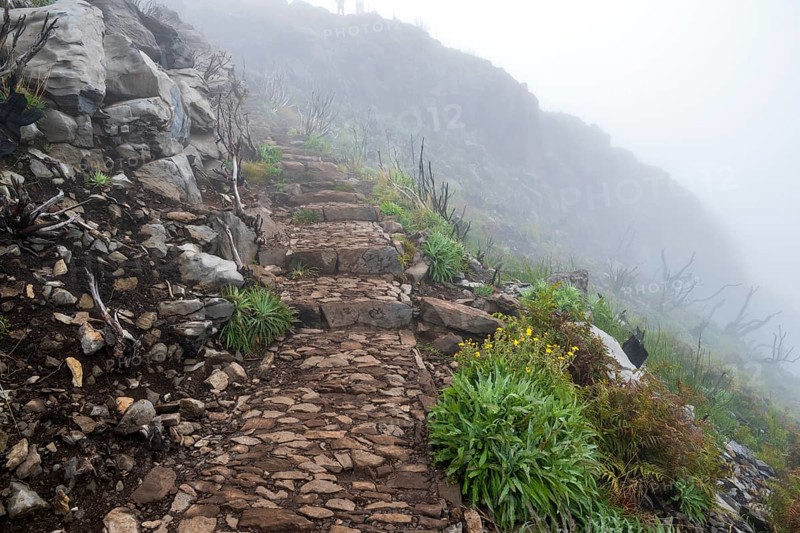 Hiking trail PR 1, 2 to Pico Ruivo, Mist, Madeira, Portugal
