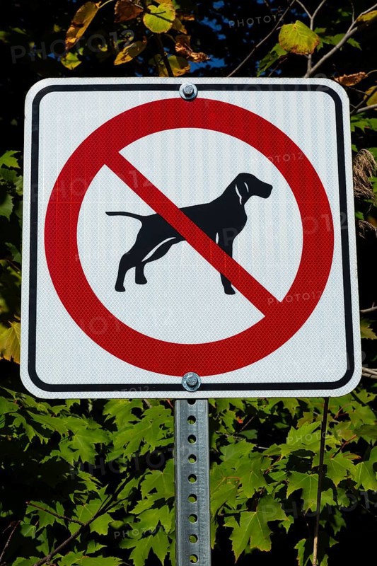Posted white, red and black pictogram sign warning that dogs are not allowed or forbidden in public park, Quebec, Canada