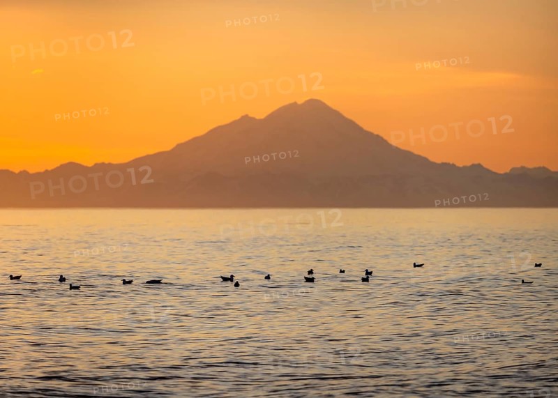 View of Cook Inlet on white mountain peaks of Mount Redoubt at sunset, picturesque golden light of the midnight sun, mountains of the Aleutian Range, Anchor Point, Anchor River State Recreation Area, Alaska, USA