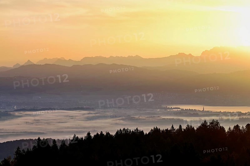 View from Horben of Lake Zug with the city of Cham and Zug covered in fog, behind it the snow-capped mountains Flübrig and Vrenelisgärtli in the light of the rising sun, Beinwil-Freiamt, Canton, Aargau, Switzerland