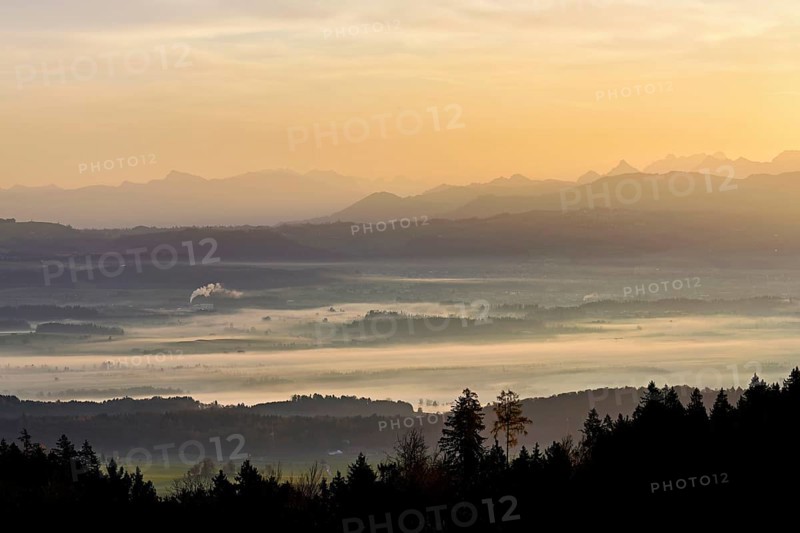 View from Horben of the Reuss Valley covered in fog, behind it the Glarus Alps in the light of the rising sun, Beinwil-Freiamt, Canton, Aargau, Switzerland