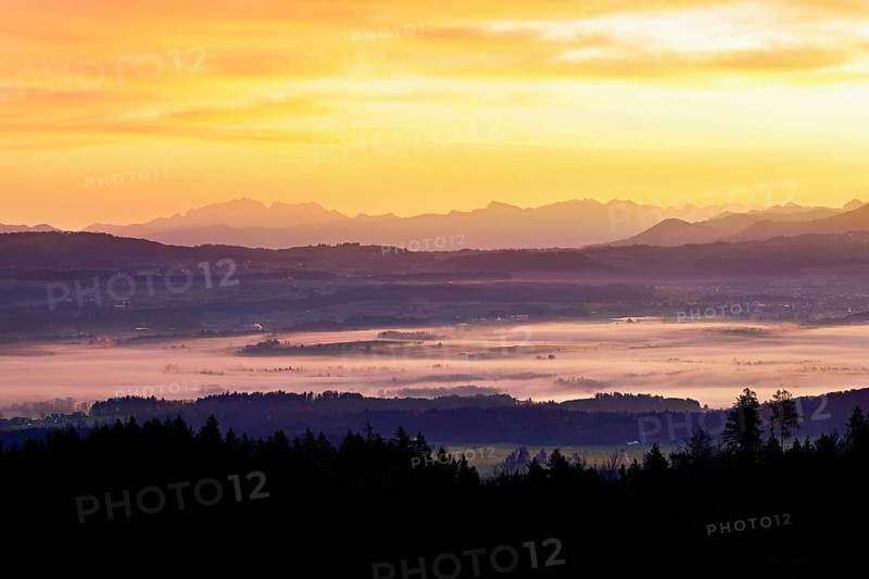 View from Horben of the Reuss Valley covered in fog, behind it the Alpstein with the Säntis in the light of the rising sun, Beinwil-Freiamt, Canton, Aargau, Switzerland