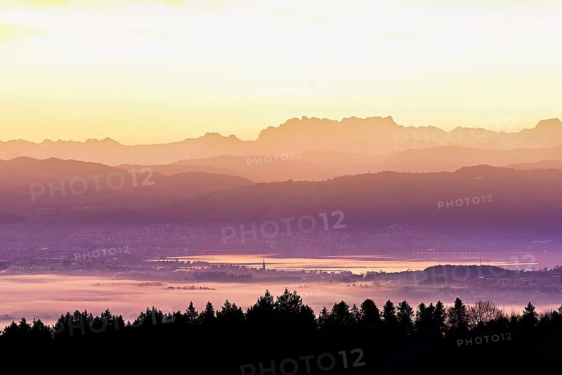 View from Horben of Lake Zug with the town of Cham and Zug, behind it the snow-capped mountains Flübrig and Vrenelisgärtli in the light of dawn, Beinwil-Freiamt, Canton, Aargau, Switzerland