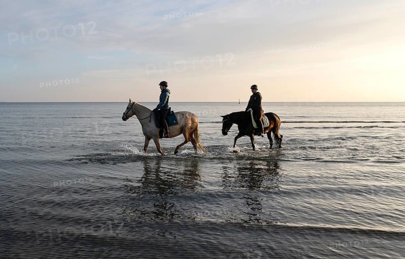 Two female riders ride their horses through the shallow water of the Baltic Sea at sunrise, Scharbeutz, 29.11.2025, Scharbeutz, Schleswig-Holstein, Germany