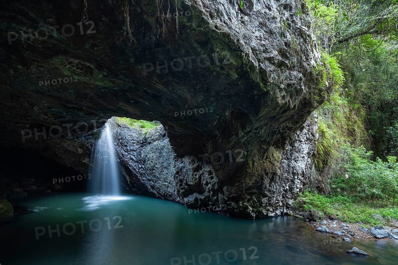 Natural Bridge Springbrook National Park Waterfall in the Basalt Cave, Queensland Gondwana Rainforest World Heritage Site, Australia