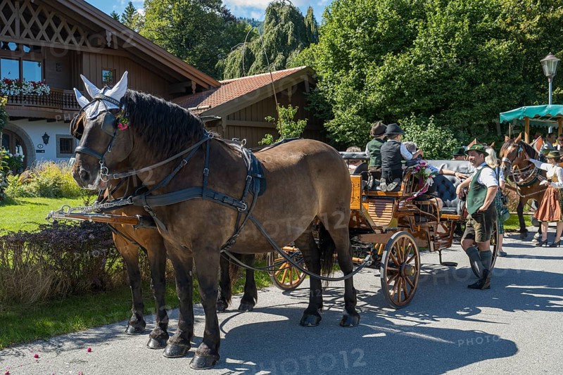 Decorated horses with carriage, horse team, parade at Tegernsee, Rosstag, Rottach-Egern, Upper Bavaria, Bavaria, Germany