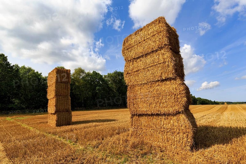 Rectangular straw bales, two stacks in a harvested field, stubble field, Cumulus, Bornholm, Denmark