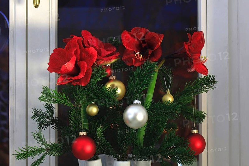 Christmas bouquet with Christmas tree balls and amaryllis, Germany