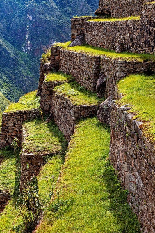 Close-up of the stone terraces of Machu Picchu stretching on the mountainside, The ruins of the Inca city of Machu Picchu in Peru