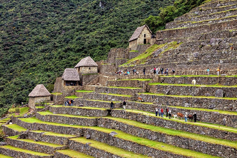 Stone houses and terraces of Machu Picchu filled with tourists and trees, The ruins of the Inca city of Machu Picchu in Peru