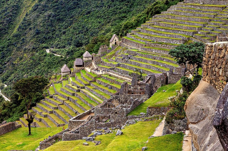 Angled view of terraced ruins in a dense natural landscape, The ruins of the Inca city of Machu Picchu in Peru