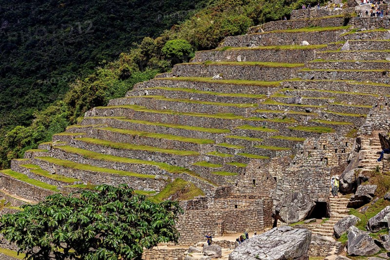 Stone terraces of Machu Picchu gently descending the slope, The ruins of the Inca city of Machu Picchu in Peru