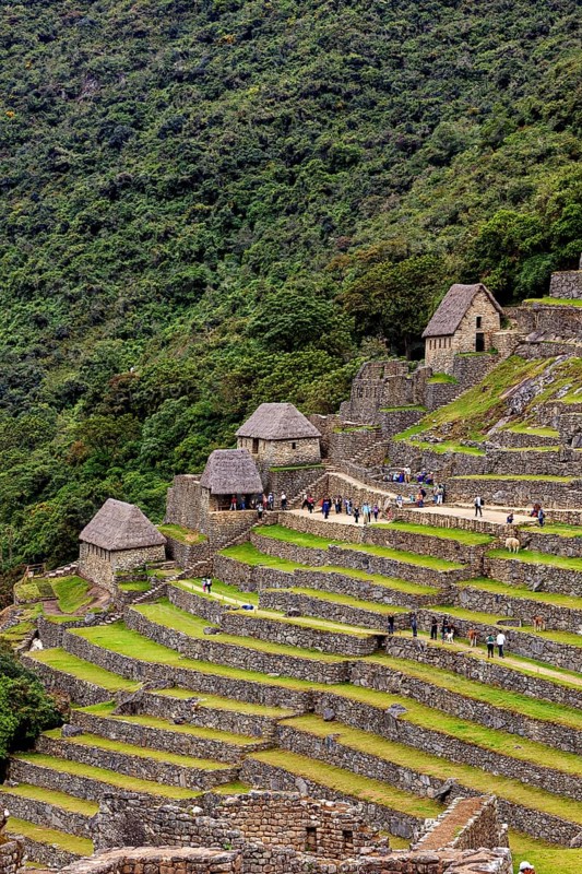 Inca stone houses and terraces surrounded by lush mountain scenery near Machu Picchu, The ruins of the Inca city of Machu Picchu in Peru