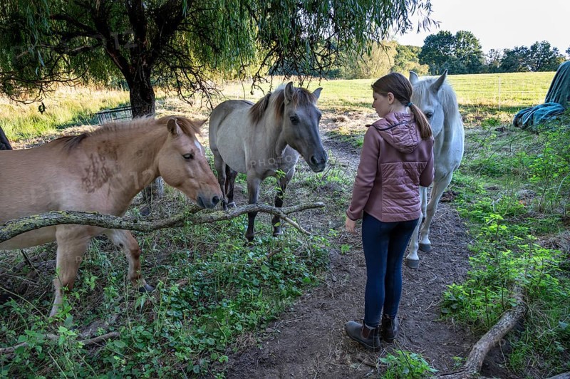 Young girl with her horses in the pasture, Othenstorf, Mecklenburg-Western Pomerania, Germany