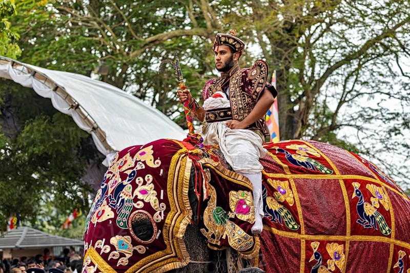 A rider in traditional clothing on a richly decorated elephant in detail, The Perahera Parade in Kandy Sri Lanka
