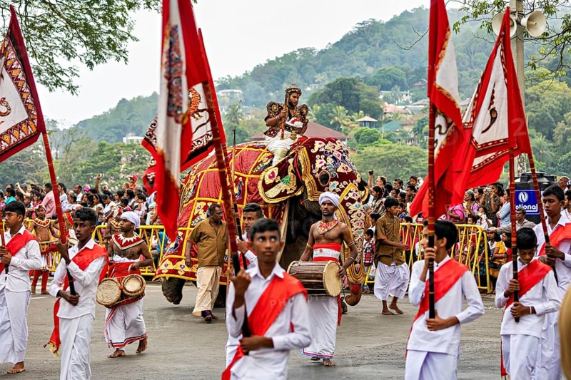A festive parade with elephant and red flag in front of a crowd and green landscape, The Perahera Parade in Kandy Sri Lanka