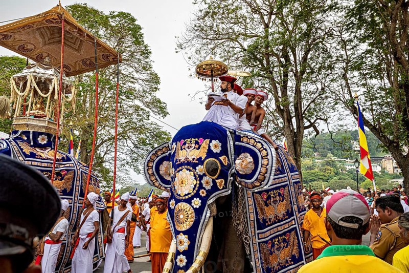 A richly decorated elephant with people in traditional clothing in a lively pageant, The Perahera Parade in Kandy Sri Lanka