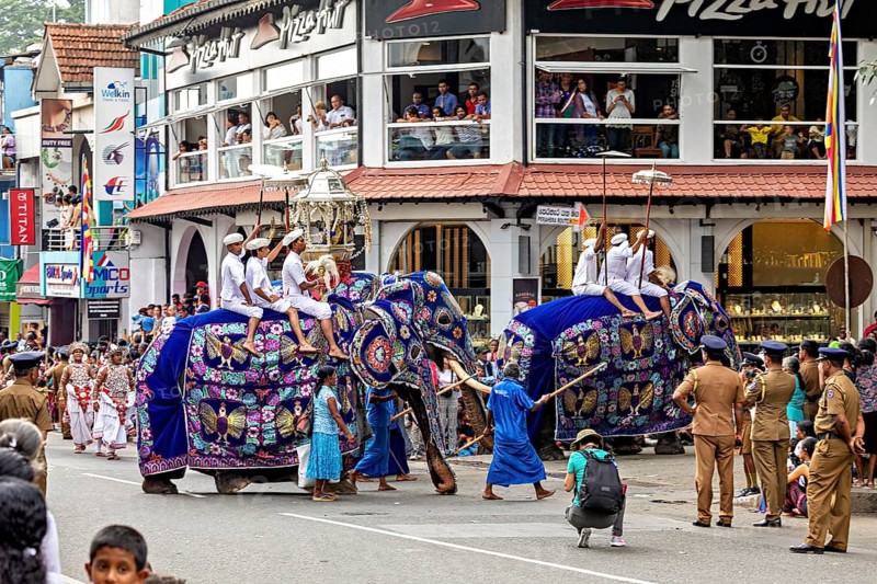 Parade with two decorated elephants and spectators in a busy street, The Perahera Parade in Kandy Sri Lanka