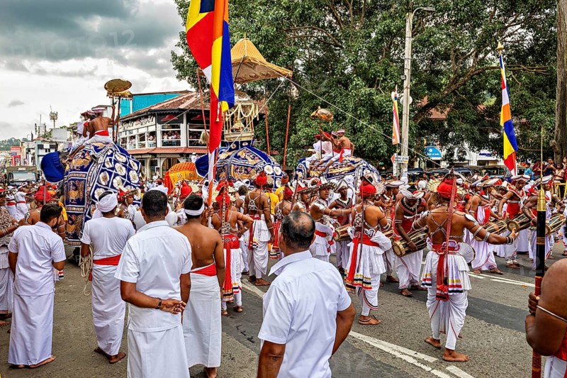 Festive procession with decorated elephants and people in traditional clothing, The Perahera Parade in Kandy Sri Lanka
