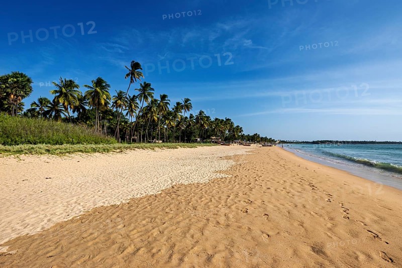 Extensive sandy beach with palm trees and peaceful sea, blue sky, quiet atmosphere, Trincomalee beach in Sri Lanka