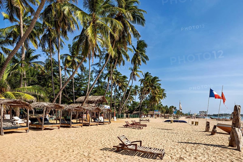 Beach beds under palm trees near huts on a sunny sandy beach, relaxed atmosphere, Trincomalee beach in Sri Lanka