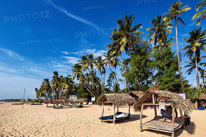 Palm trees and beach huts under a blue sky, relaxed atmosphere on the beach, Trincomalee beach in Sri Lanka